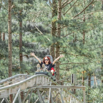 Đà Lạt - Vẻ Đẹp Xứ Thông Reo - 3 Ngày 2 Đêm