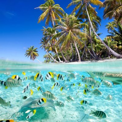 Tour Miền Trung 3N2Đ | Đà Nẵng – Cù Lao Chàm – Hội An – Bà Nà