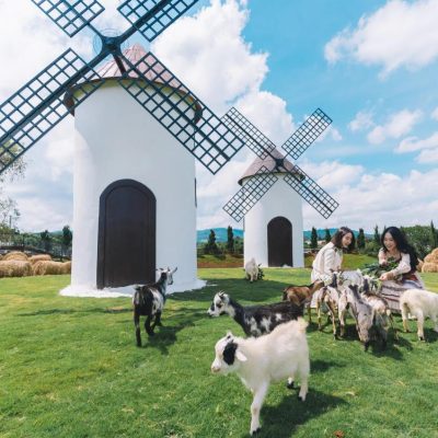 Tour Đà Lạt - Xứ Thông Reo - 4 Ngày 3 Đêm