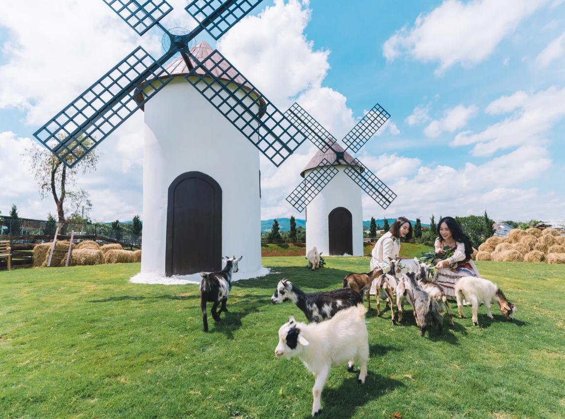 Tour Đà Lạt - Xứ Thông Reo - 4 Ngày 3 Đêm 2