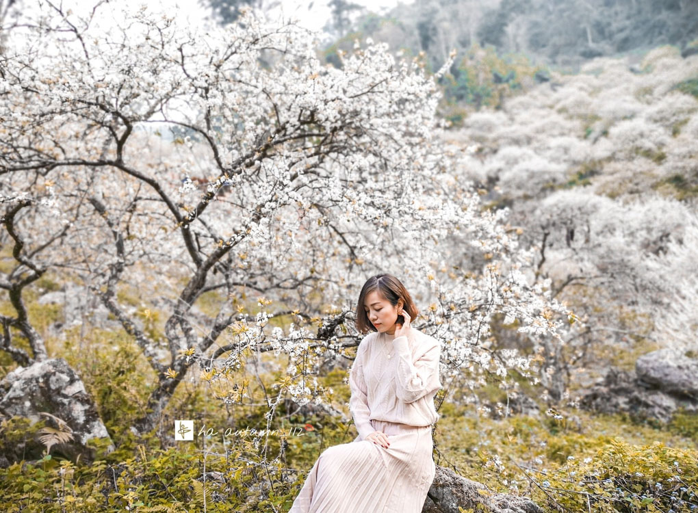 Tour Hà Nội - Mộc Châu - Cầu Kính Bạch Long 1