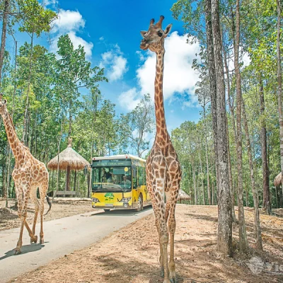 Tour Hoang Dã - Cano Lặn Ngắm San Hô - BBQ Bãi Biển