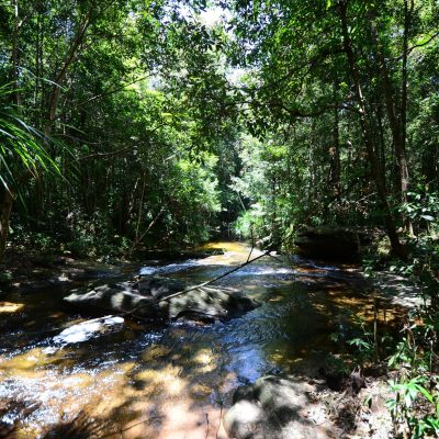 Tour Trekking Vườn Quốc Gia Phú Quốc