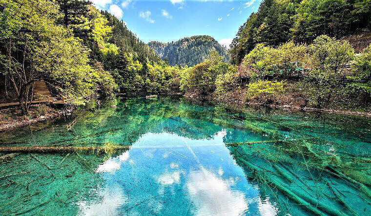 kinh-nghiem-du-lich-cuu-trai-cau-cuc-day-du-va-chi-tiet-202206021453412302